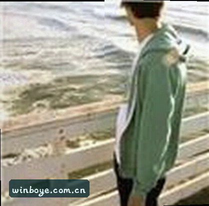 赵敏