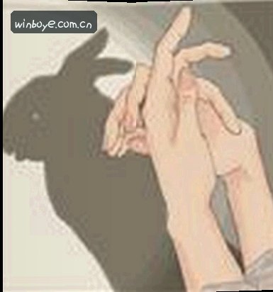 孙莉